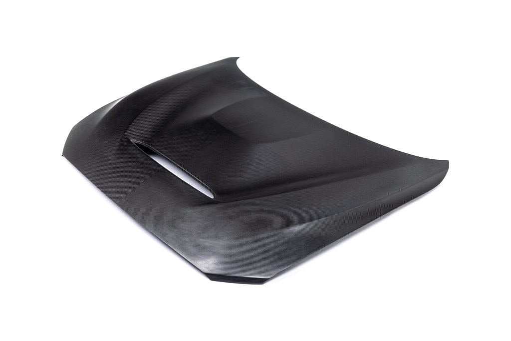 BMW 1 Series F20 & F21 / 2 Series F22 / M2 F87 Carbon Hood "GTS"