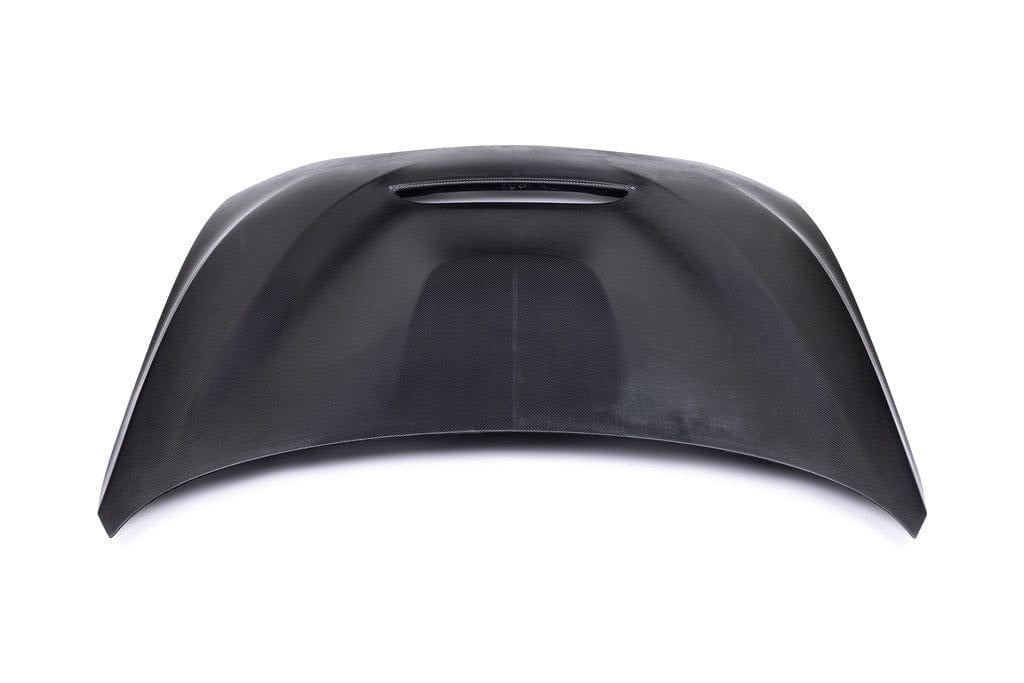 BMW 1 Series F20 & F21 / 2 Series F22 / M2 F87 Carbon Hood "GTS"