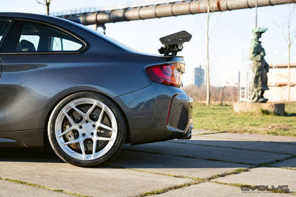 BMW Carbon Rear Wing "GTS"