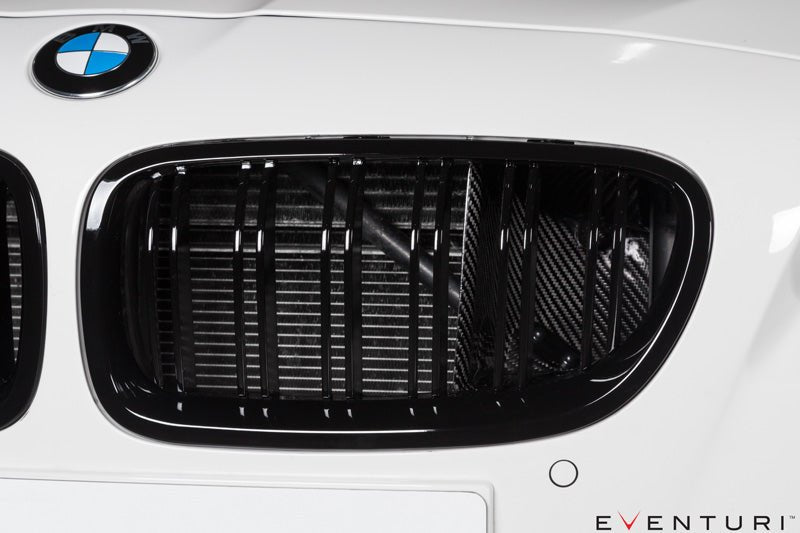 BMW F10 M5 Full Black Carbon intake