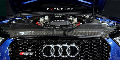 Audi B8 RS5 Black Carbon Facelift Slam Panel Cover